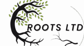 roots ltd logo 1 removebg preview